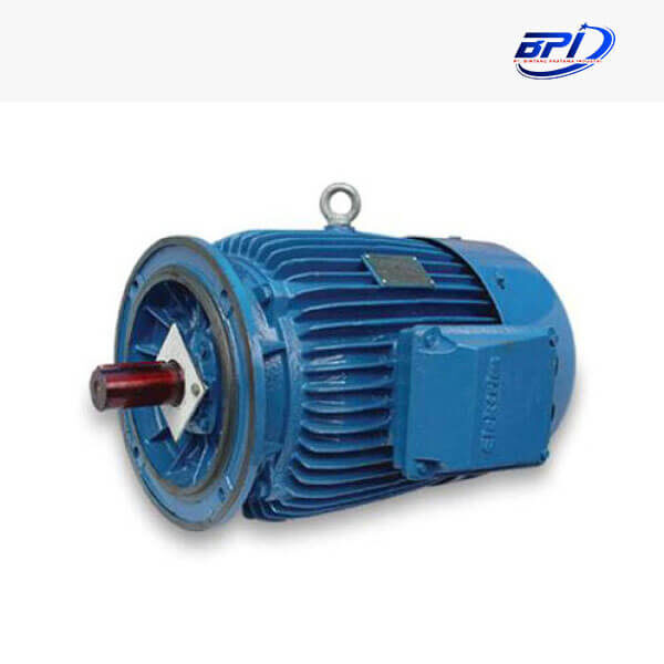 Elektrim Cantoni IE1 Motor