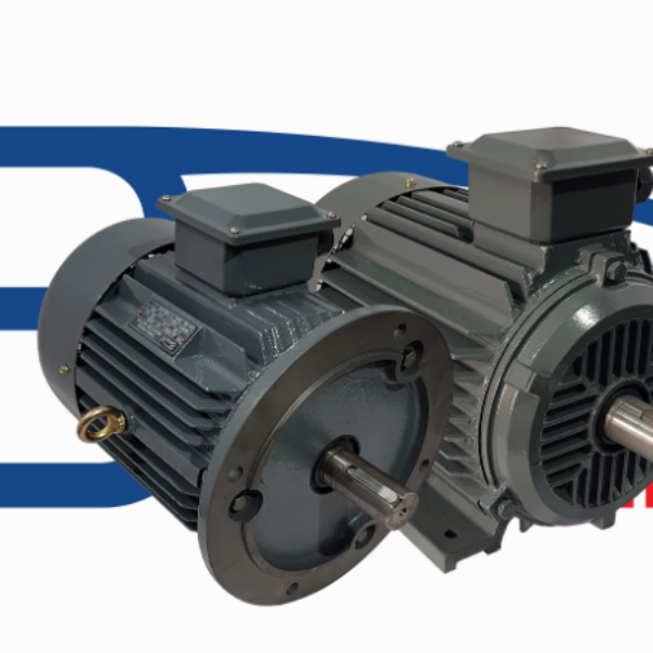 BONZER INDUCTION MOTOR