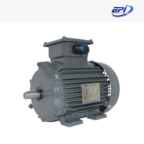 TECO AESV1S (IE1) Series