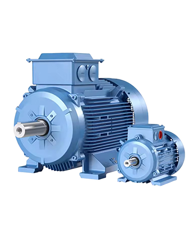 electric motor